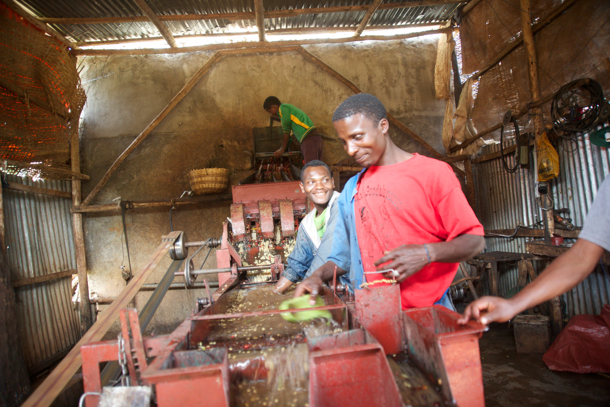 SASABA WASHING STATION
