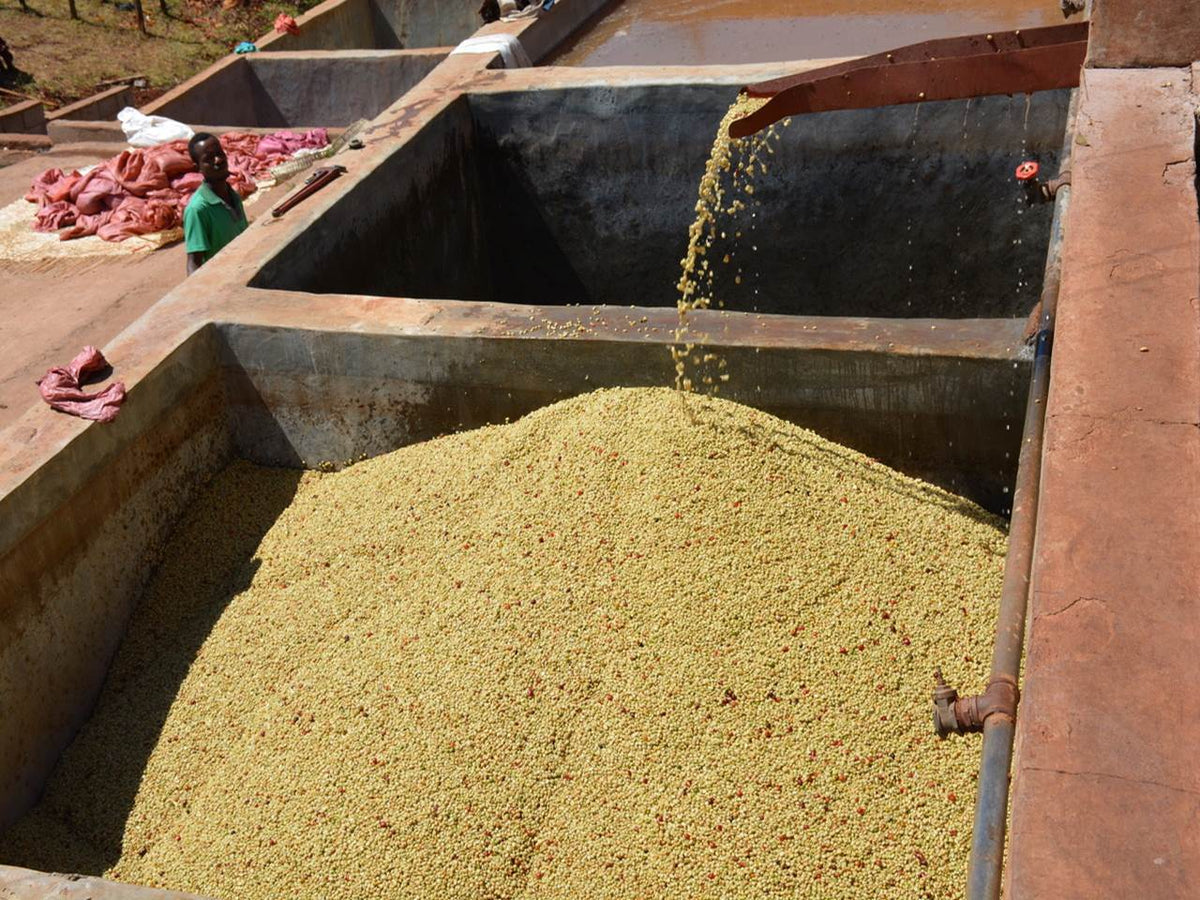 SASABA WASHING STATION