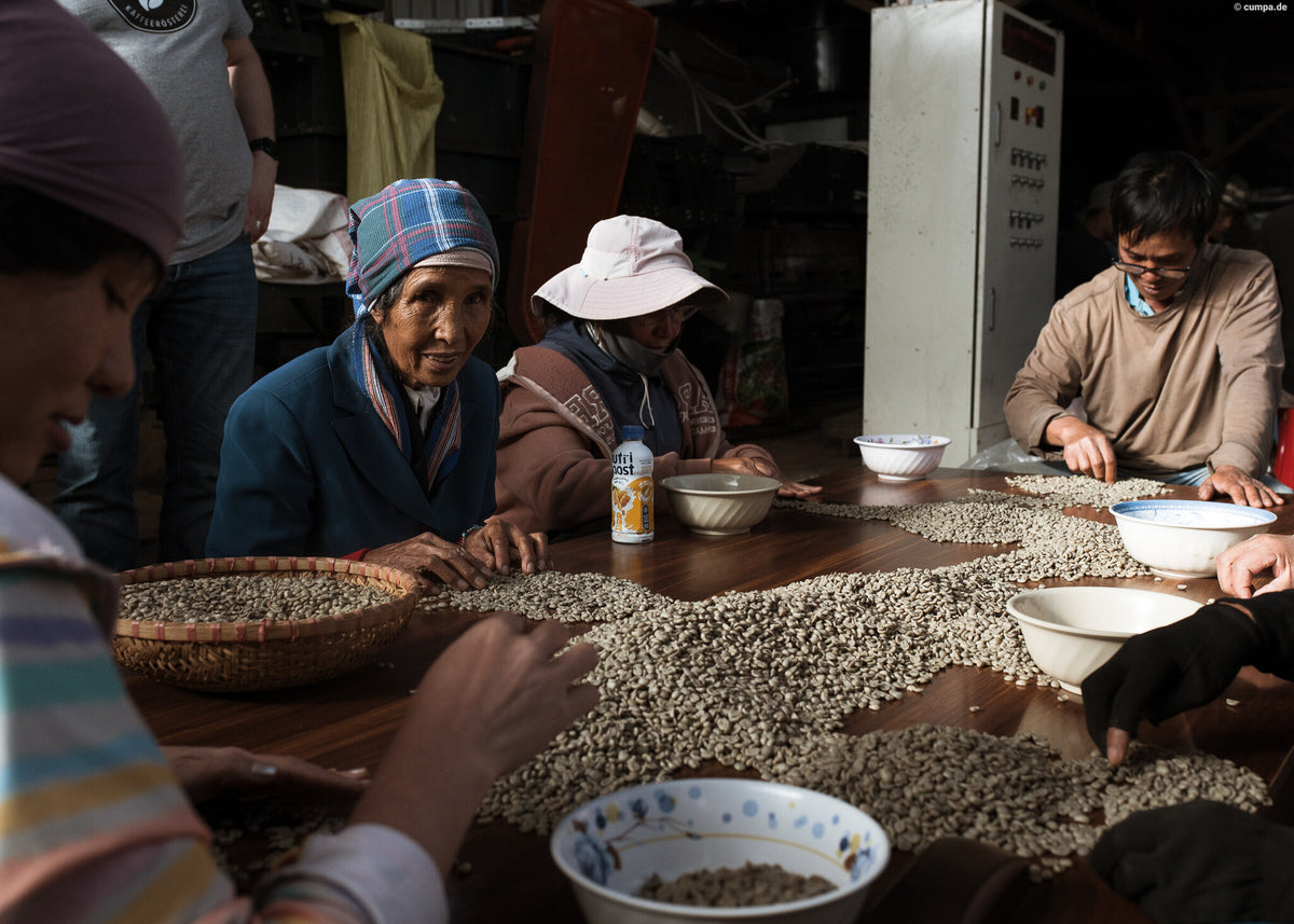 ZANYA COFFEE MÙA HÈ