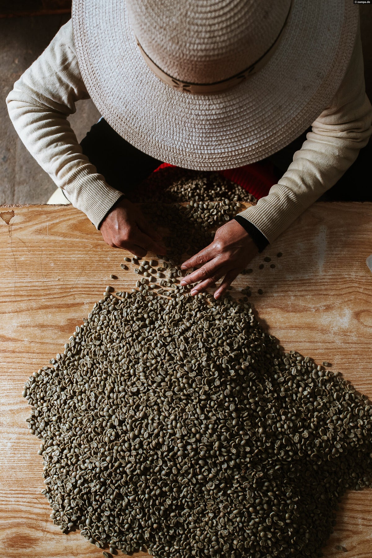 ZANYA COFFEE MÙA HÈ